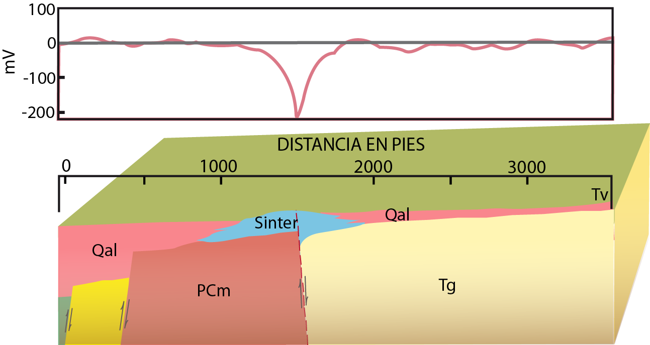 Potencial Espontáneo